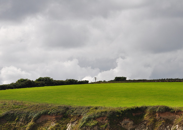 Title: Rosevine Cornwall Credit: Mark Lord